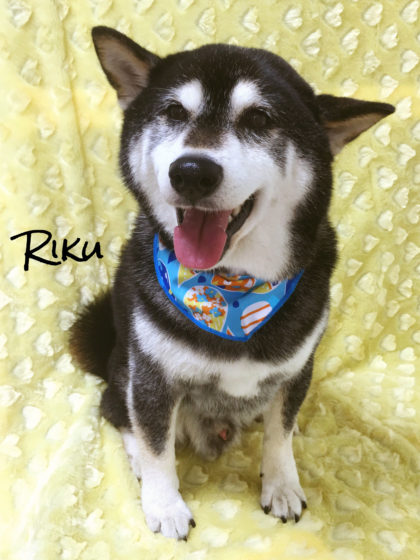 Processed with MOLDIV