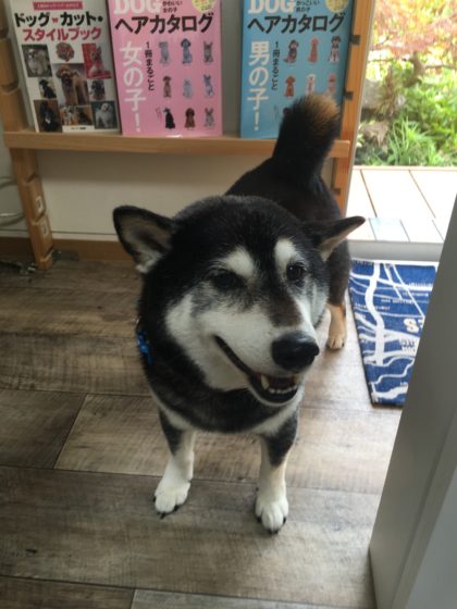 2016-06-15 14.24.58-2