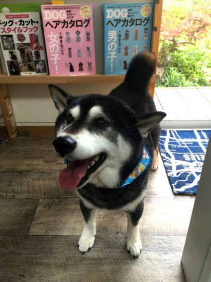 Processed with MOLDIV