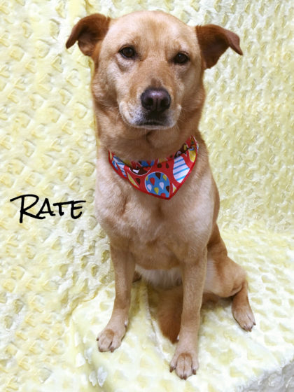 Processed with MOLDIV