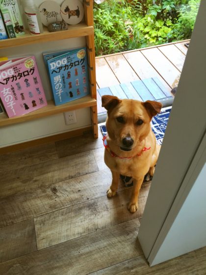 Processed with MOLDIV