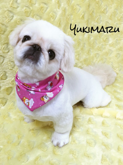 Processed with MOLDIV