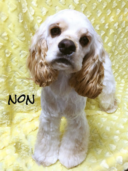 Processed with MOLDIV