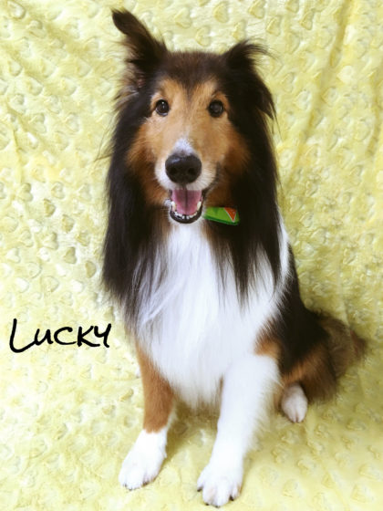 Processed with MOLDIV