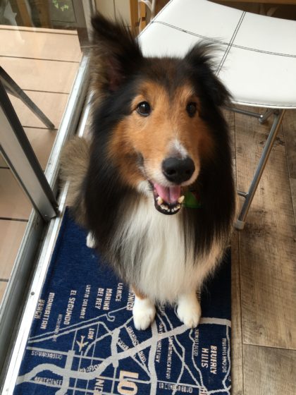 2016-06-20 12.33.28-2