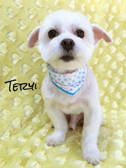 Processed with MOLDIV