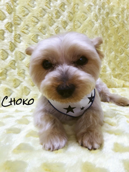 Processed with MOLDIV