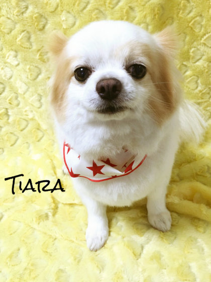 Processed with MOLDIV