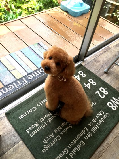 Processed with MOLDIV