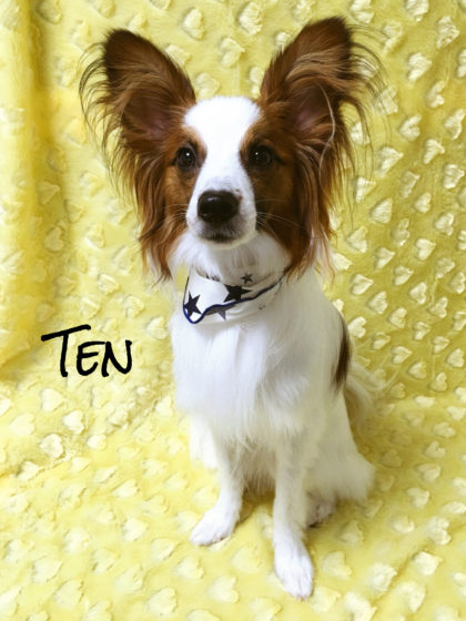 Processed with MOLDIV