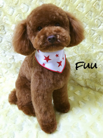 Processed with MOLDIV