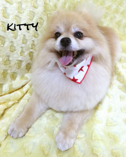 2016-06-27 11.52.33-2-1