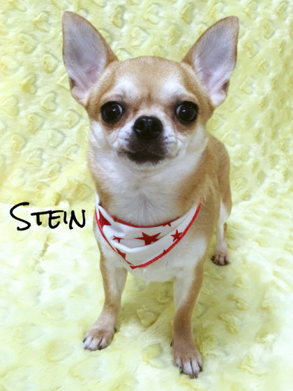 Processed with MOLDIV