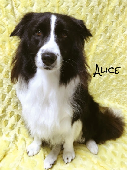 2016-06-27 17.33.46-3