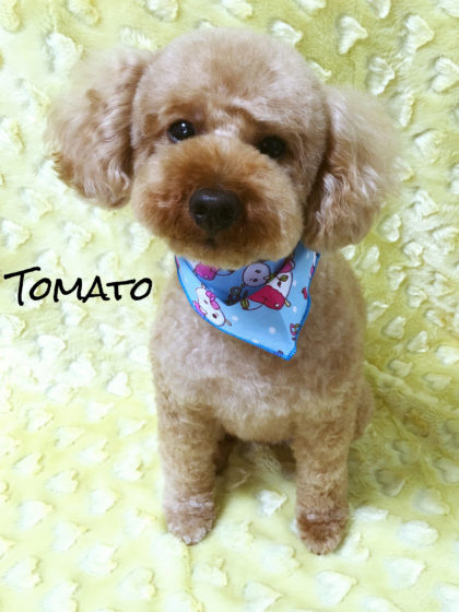 Processed with MOLDIV