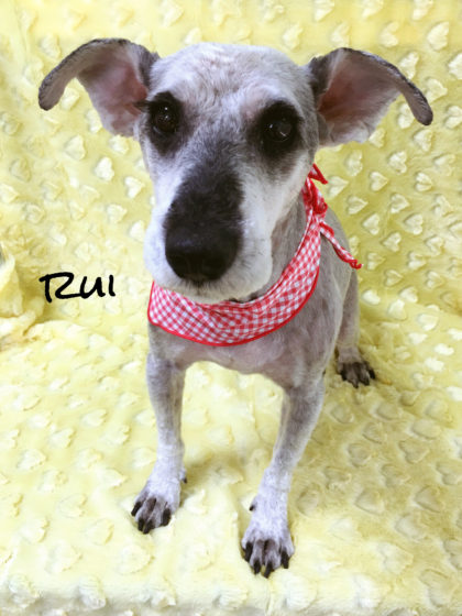 Processed with MOLDIV