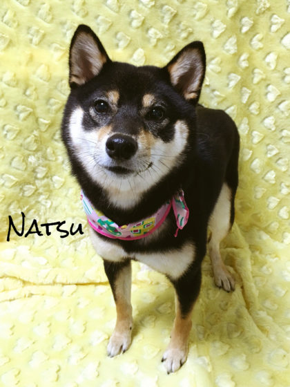 Processed with MOLDIV