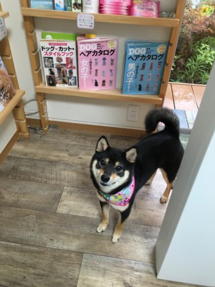 2016-06-28 17.21.08-1