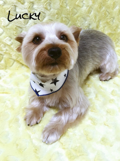 Processed with MOLDIV