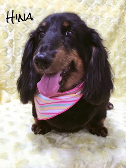 Processed with MOLDIV