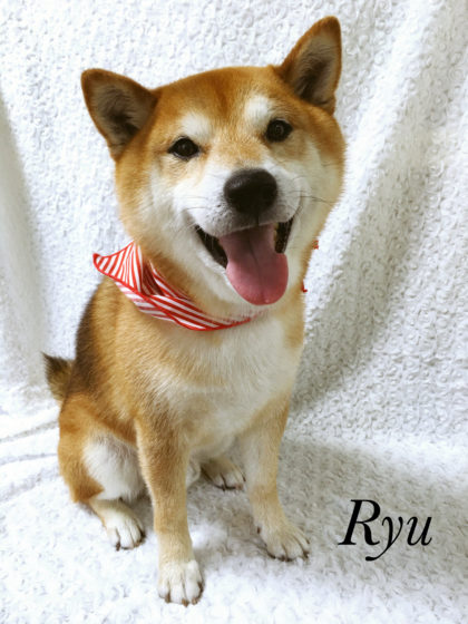 Processed with MOLDIV