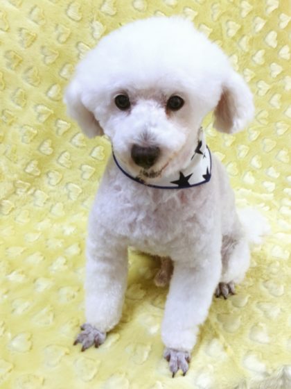 2016-07-04 13.10.45-2