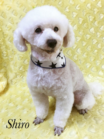 2016-07-04 13.10.52-1