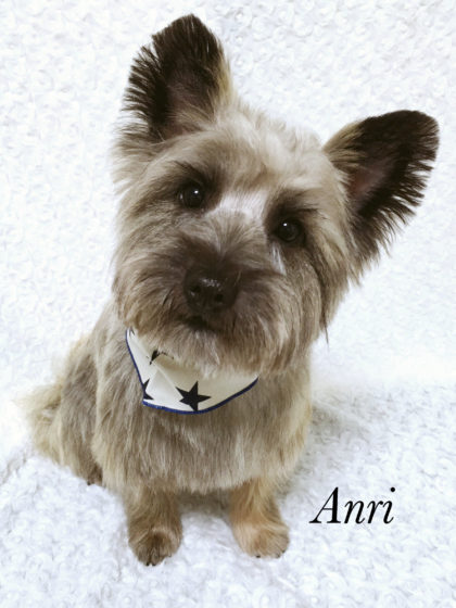 Processed with MOLDIV