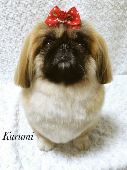 Processed with MOLDIV