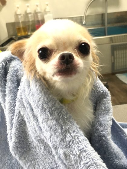 Processed with MOLDIV