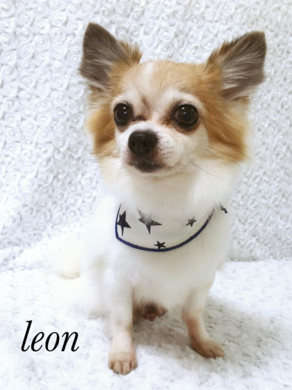 Processed with MOLDIV