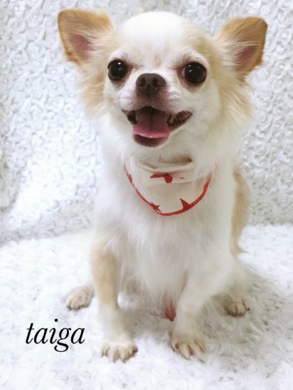 2016-07-05 12.44.57-1