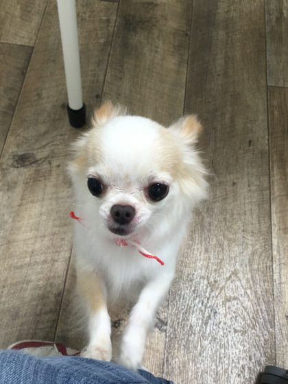 2016-07-05 12.49.52-2