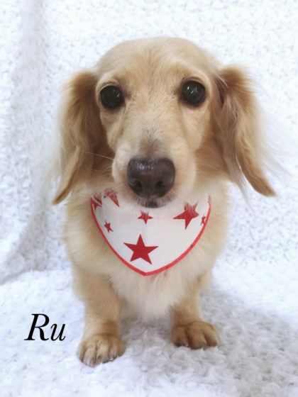 Processed with MOLDIV