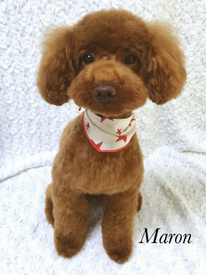 Processed with MOLDIV