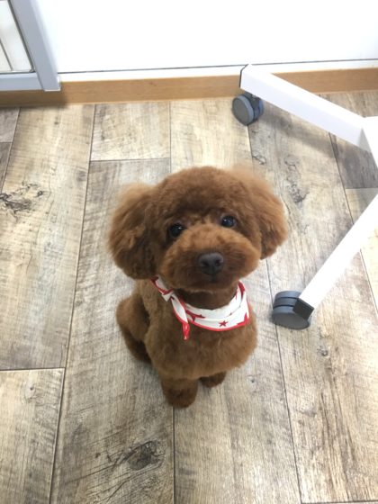 Processed with MOLDIV