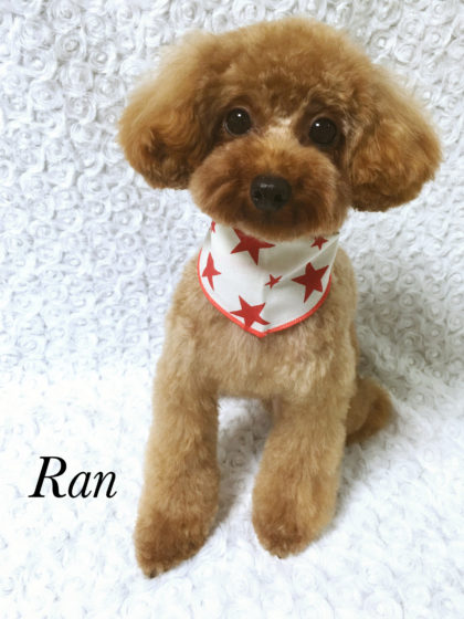 Processed with MOLDIV