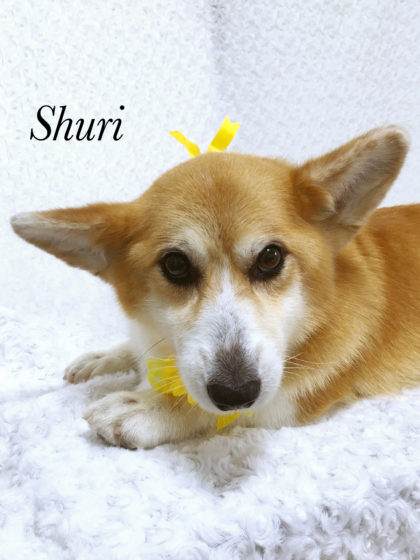 2016-07-08 13.21.05-1