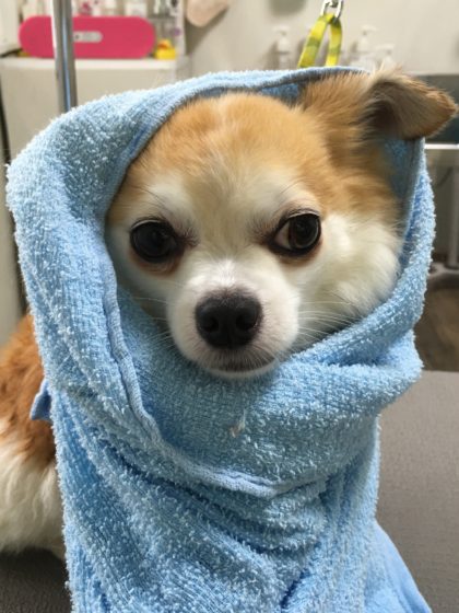 Processed with MOLDIV