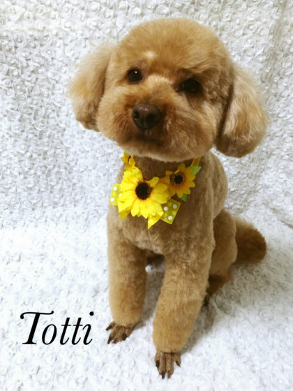 Processed with MOLDIV