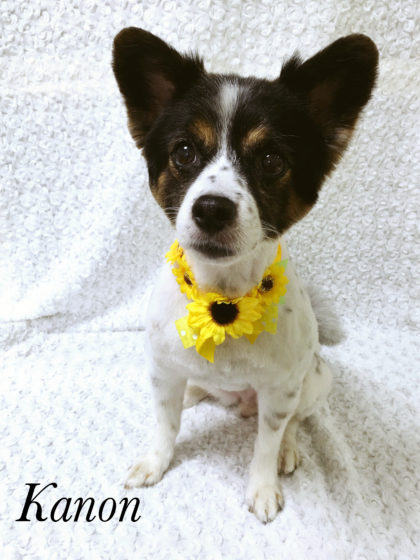 Processed with MOLDIV