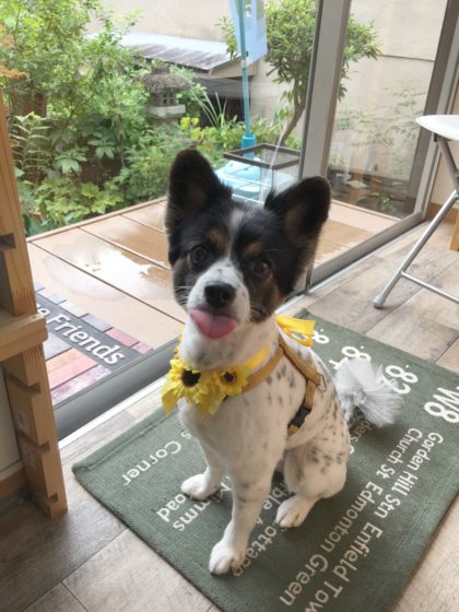 2016-07-13 13.57.15-2