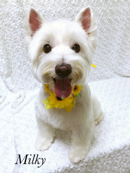 2016-07-13 16.50.46-3