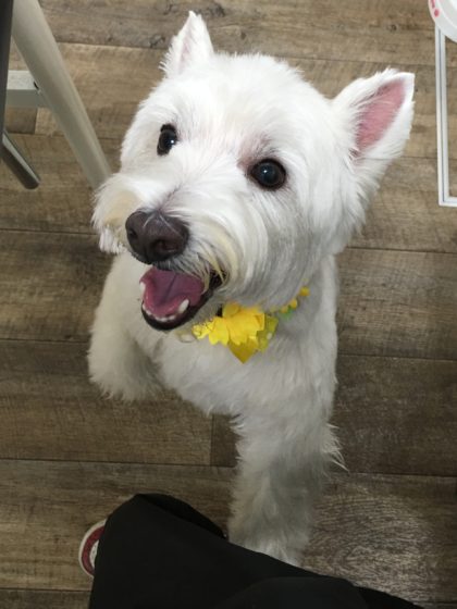 Processed with MOLDIV