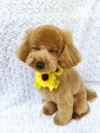 Processed with MOLDIV