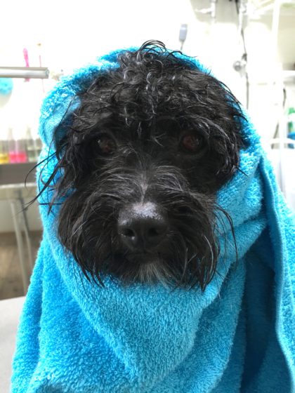 Processed with MOLDIV