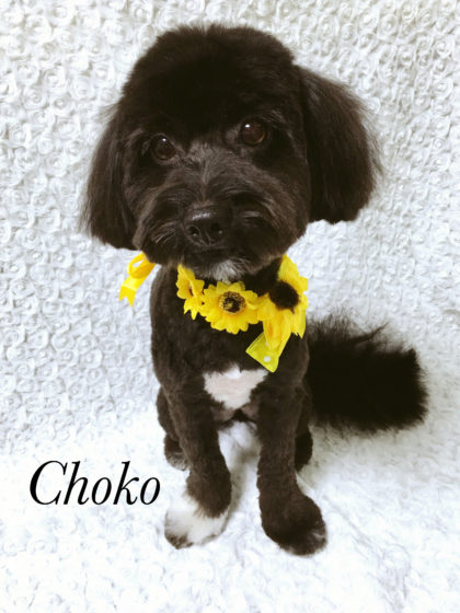 Processed with MOLDIV