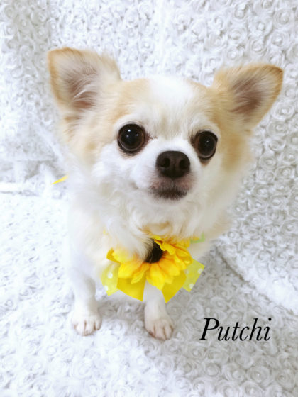 Processed with MOLDIV