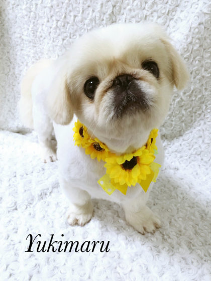 Processed with MOLDIV