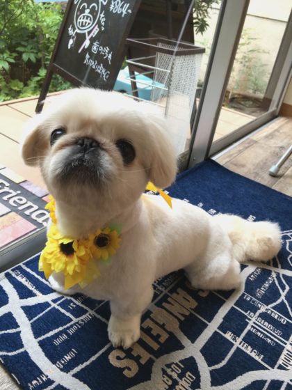 Processed with MOLDIV